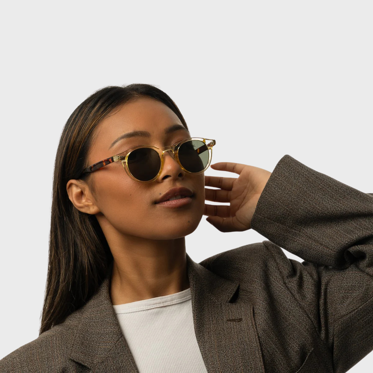 BRISA | Léopard